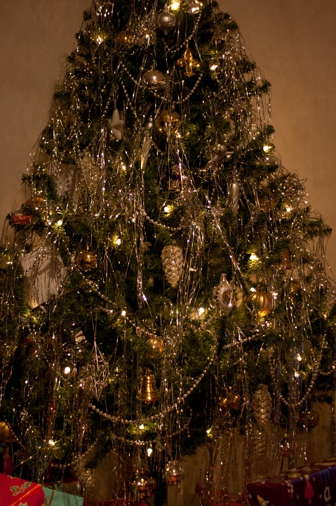 Kerst en oud en nieuw familie Gomes 2009-18.jpg